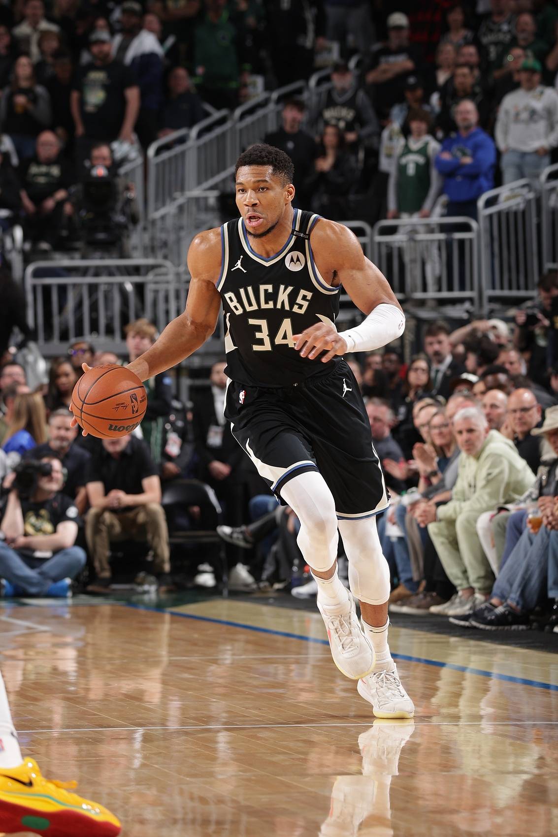 字母哥新星精彩发挥表现惊艳，TL未来可期！的简单介绍